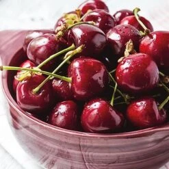 Cherry 'Stella' Bare Root -Eden Yard Zone 2207