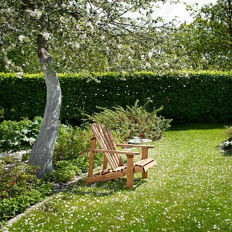 Single Chair Relax 3 Single Chair Relax