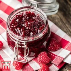 Raspberry 'Tulameen' (Late Summer Fruiting) -Eden Yard Zone RASP RECIPE CUL 3