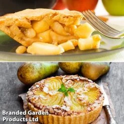 Fruit Tree Staple Duo -Eden Yard Zone appe