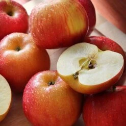 Apple 'Family Apple Tree' -Eden Yard Zone national apple day braeburn
